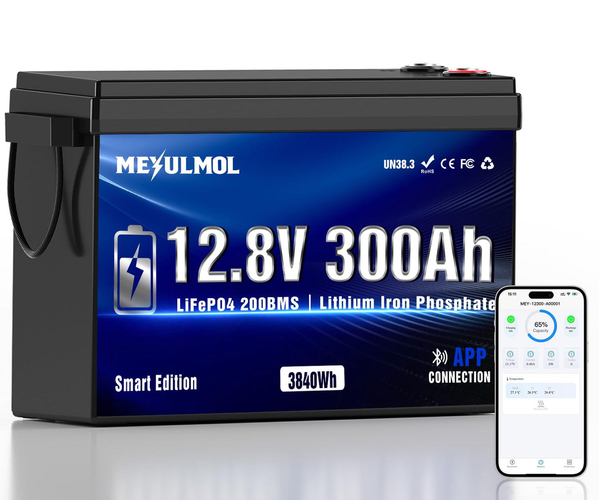 12V 300Ah LiFePO4 Lithium Battery with 200A BMS L368347