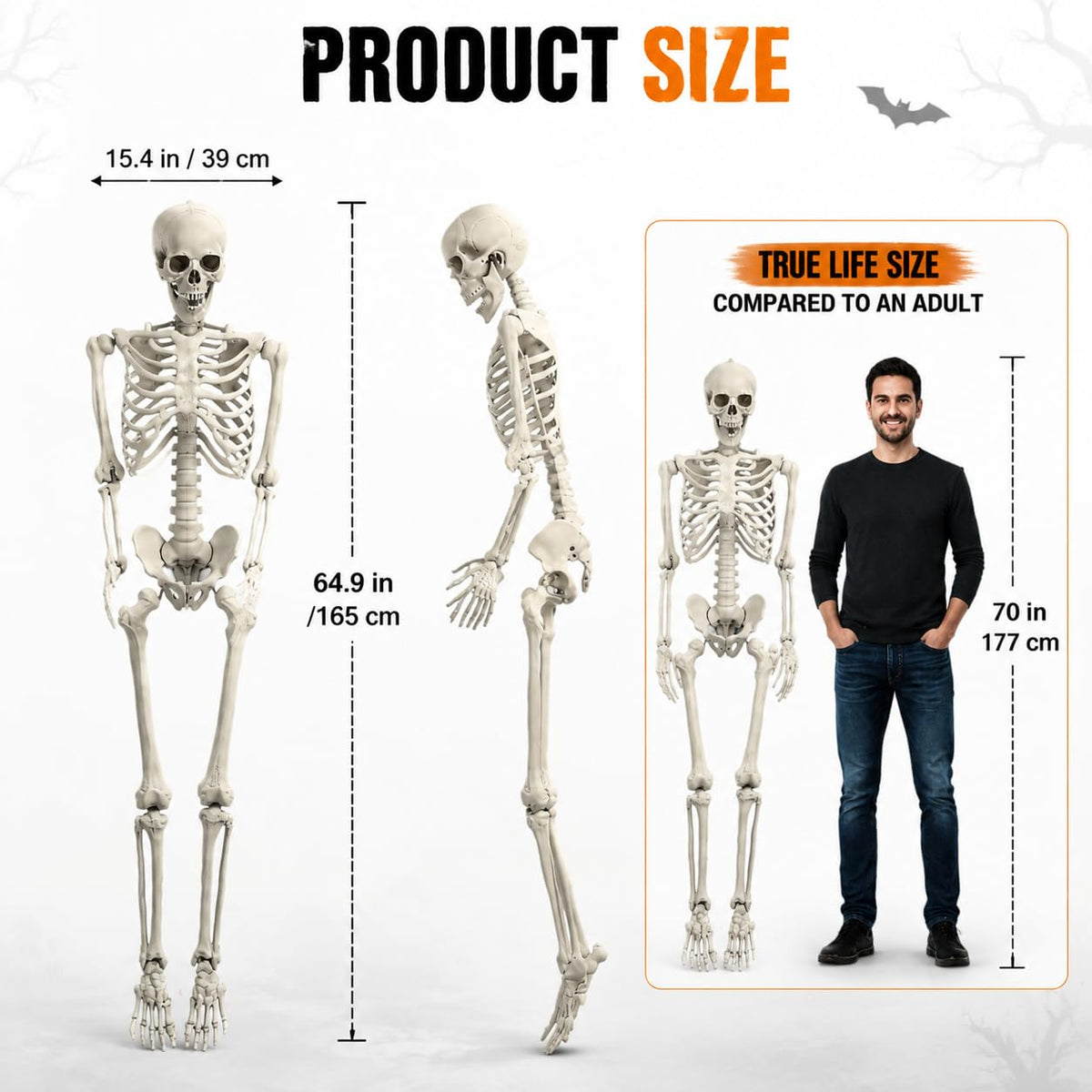 5.4 FT Poseable Skeleton N69823