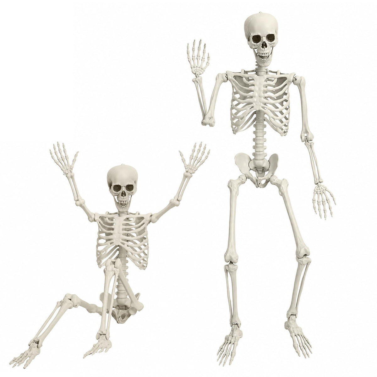 5.4 FT Poseable Skeleton N69823