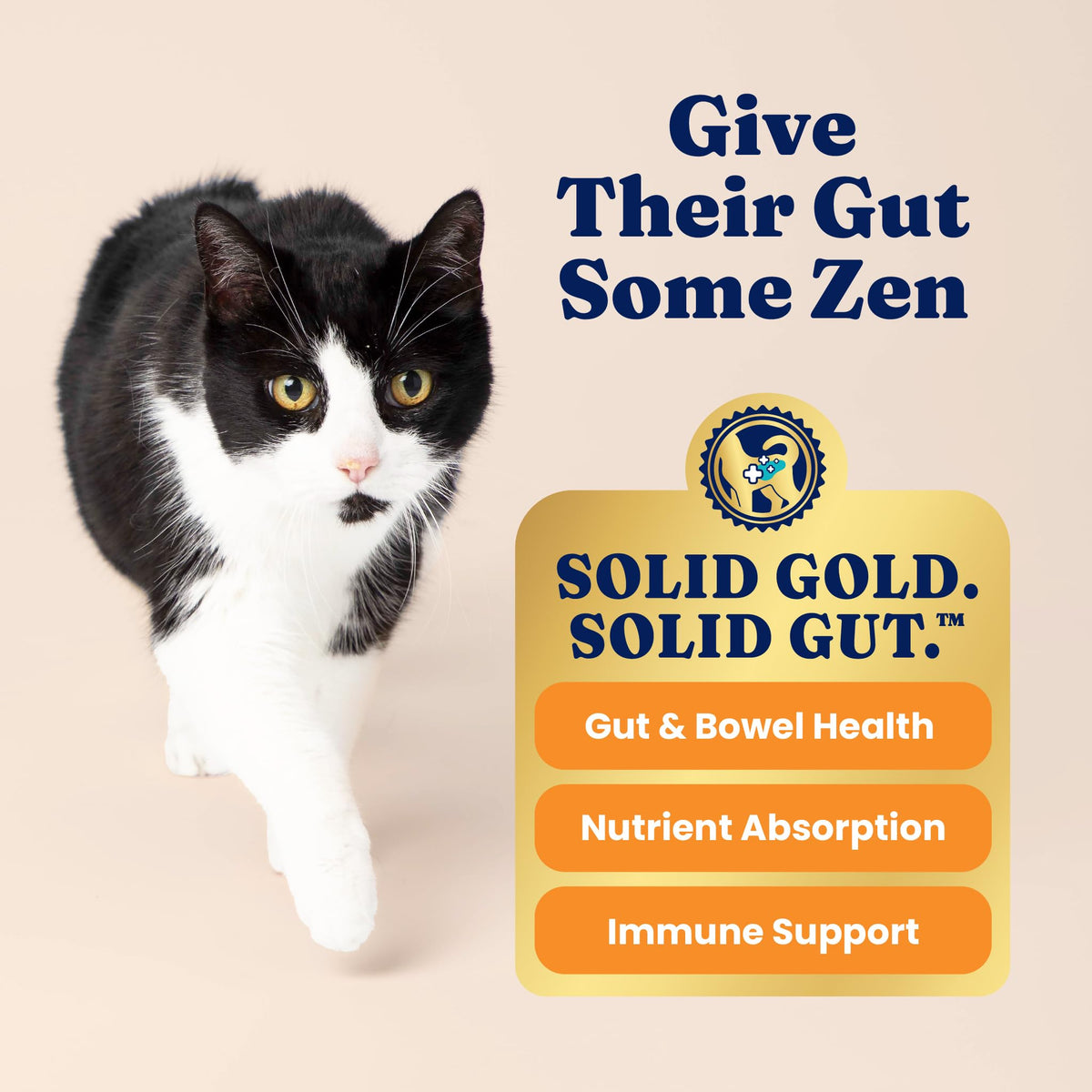 Solid Gold High Protein Chicken Dry Cat Food 6lb F6602