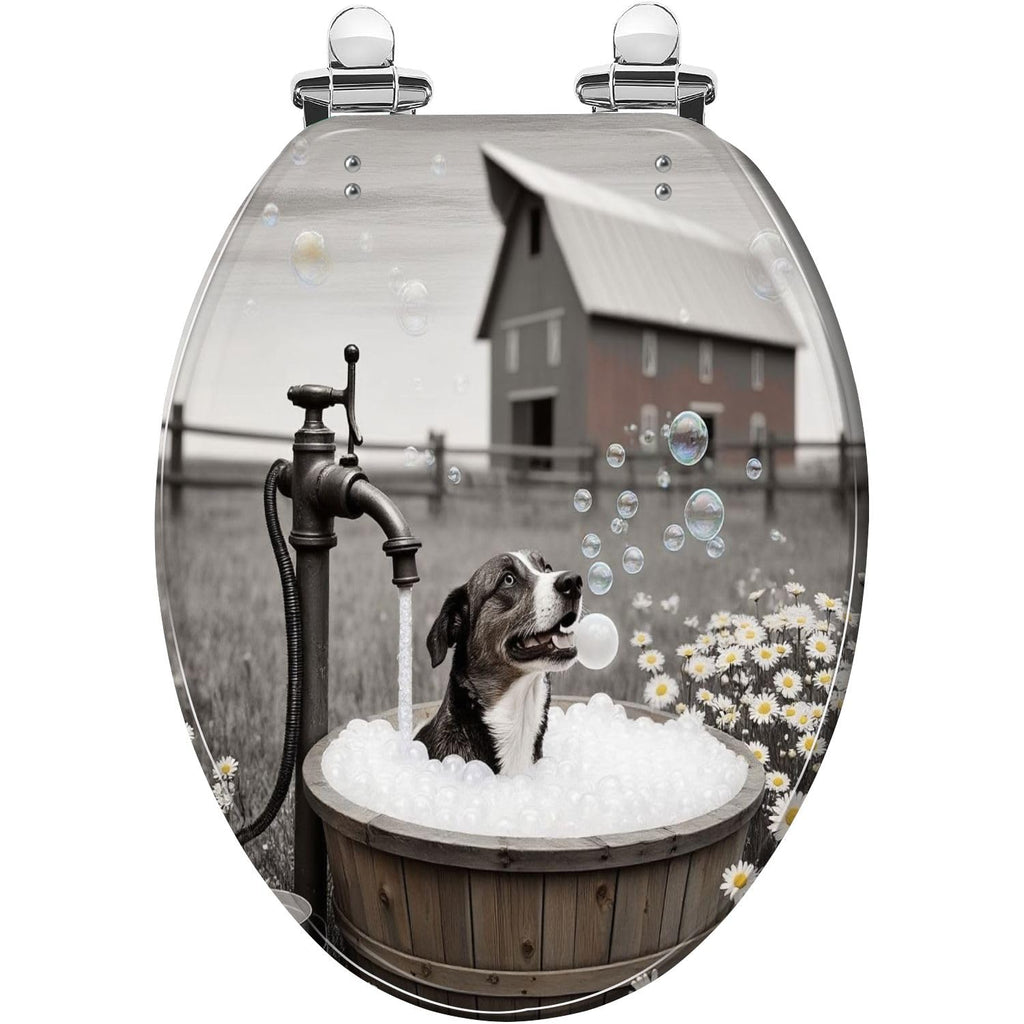 Elongated Slow Close Resin Toilet Seat Q369535