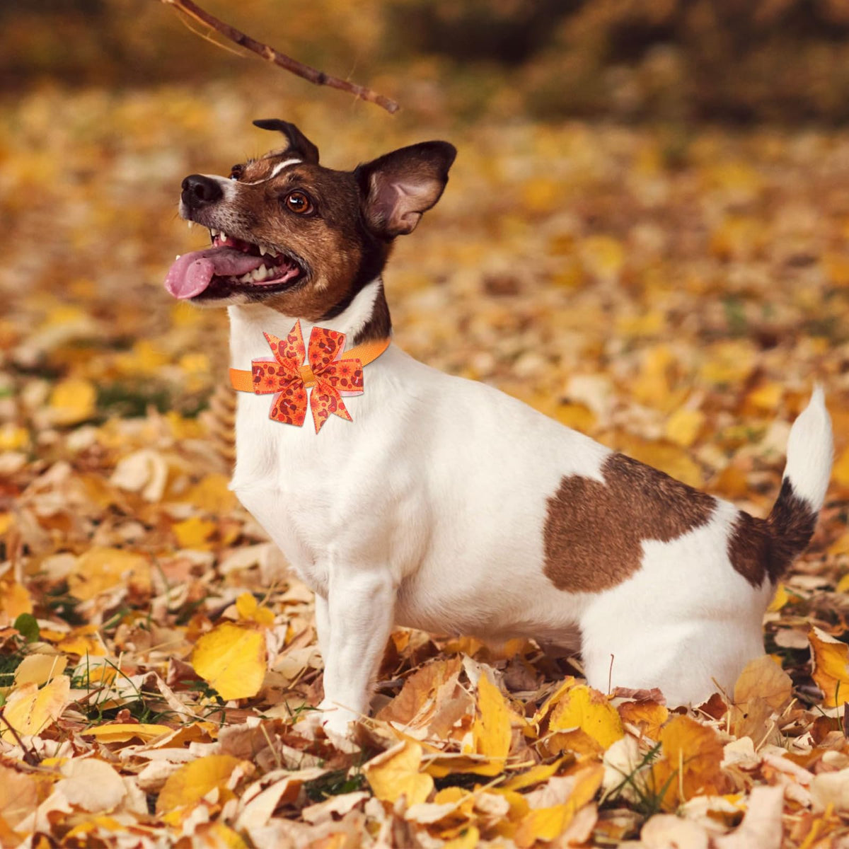 100 Pcs Fall Dog Bow Ties Y1034