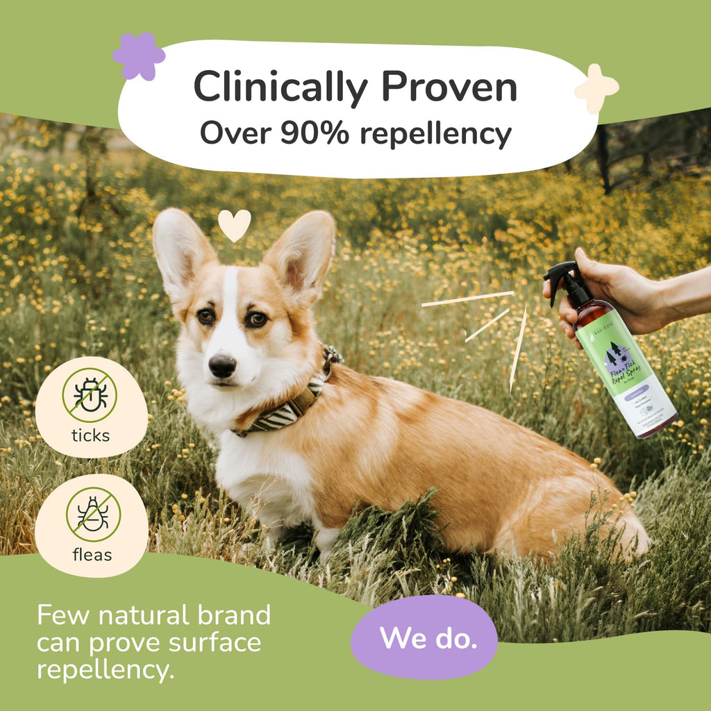 Lavender Mint Dog Coat Spray 12 fl oz I494