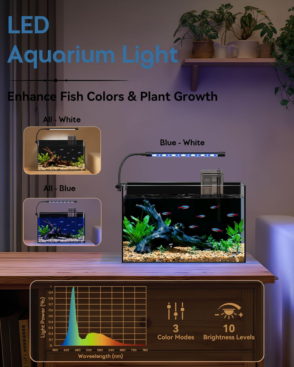 5 Gallon Rimless Glass Aquarium Starter Kit G9014