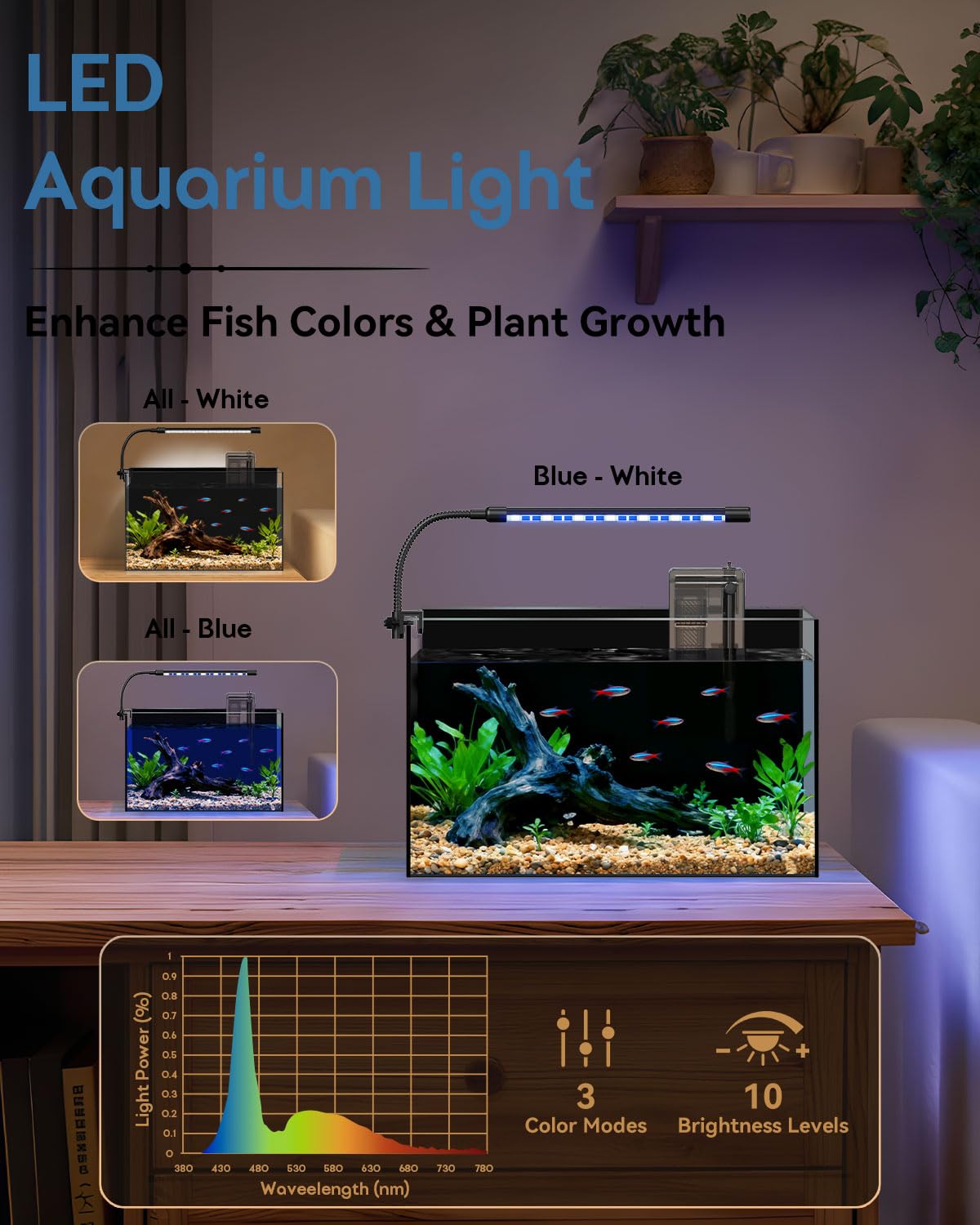 5 Gallon Rimless Glass Aquarium Starter Kit G9014