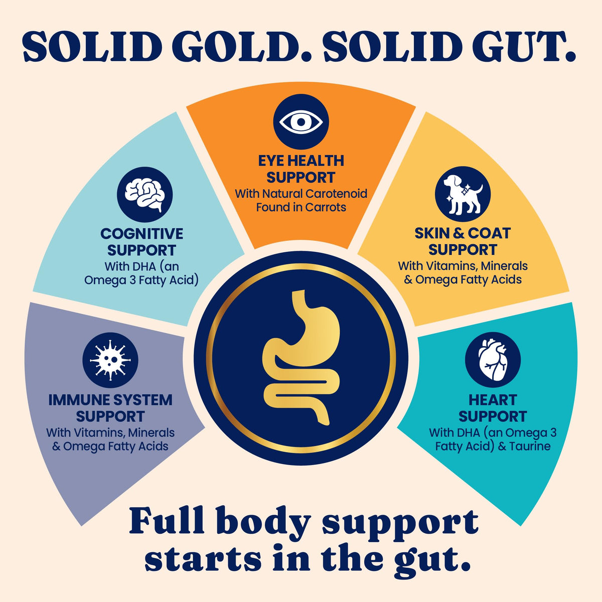 Solid Gold High Protein Chicken Dry Cat Food 6lb F6602
