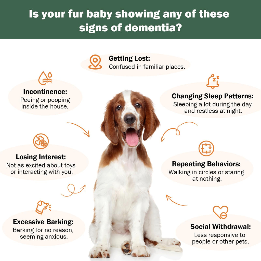 Dog Supplements L49407