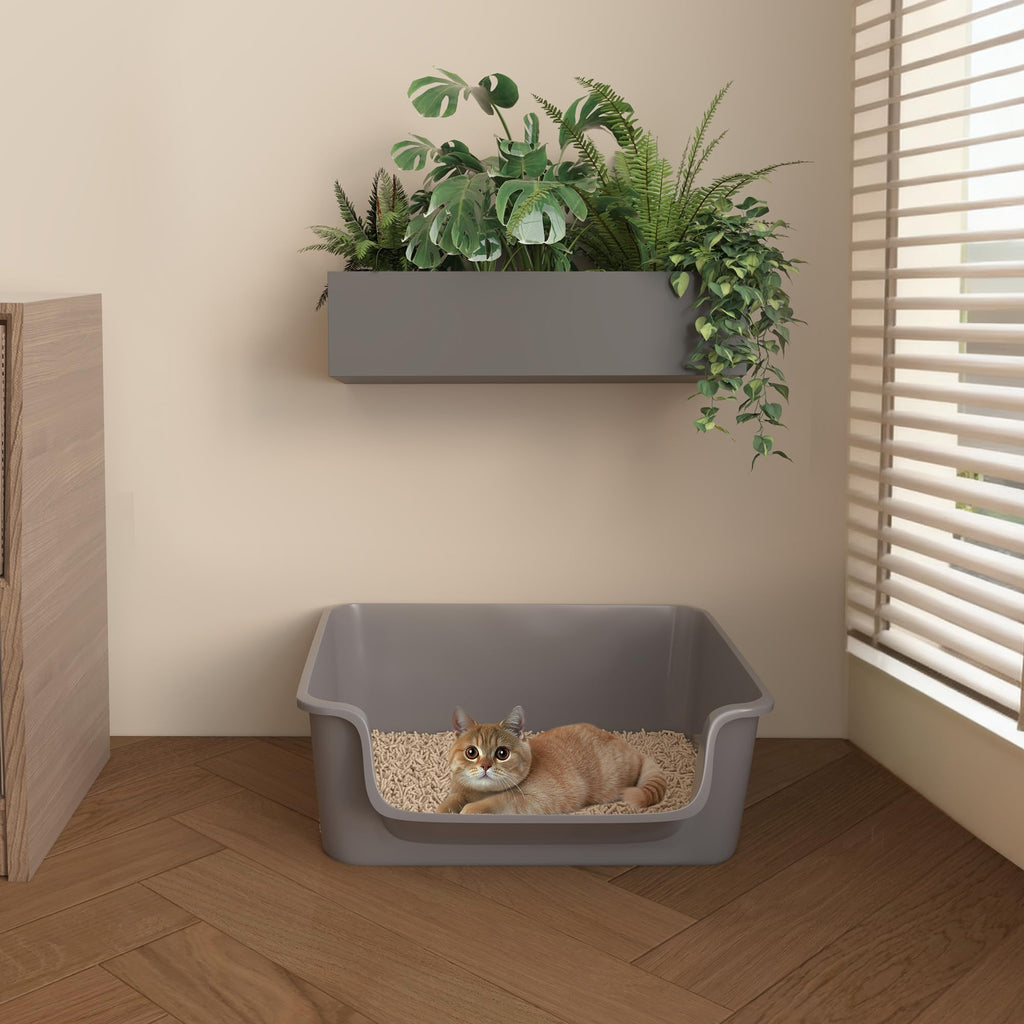 Open-Top High Sides Cat Litter Box with Low Entrance Y6162
