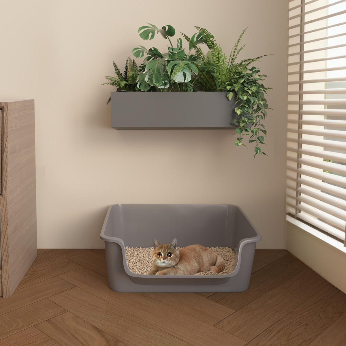 Open-Top High Sides Cat Litter Box with Low Entrance Y6162