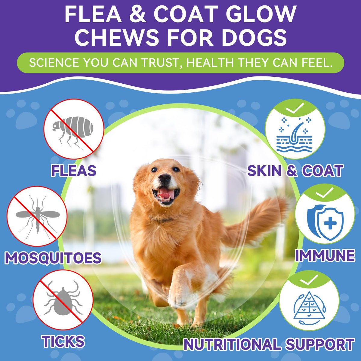 Flea and Tick Prevention for Dogs R3465