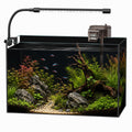 5 Gallon Rimless Glass Aquarium Starter Kit G9014