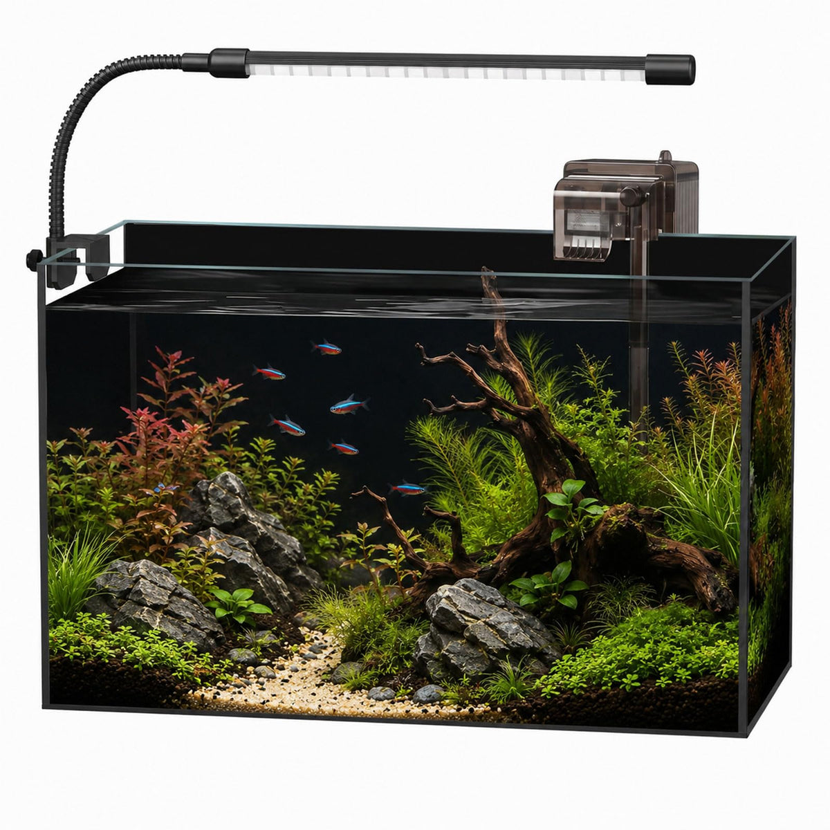 5 Gallon Rimless Glass Aquarium Starter Kit G9014