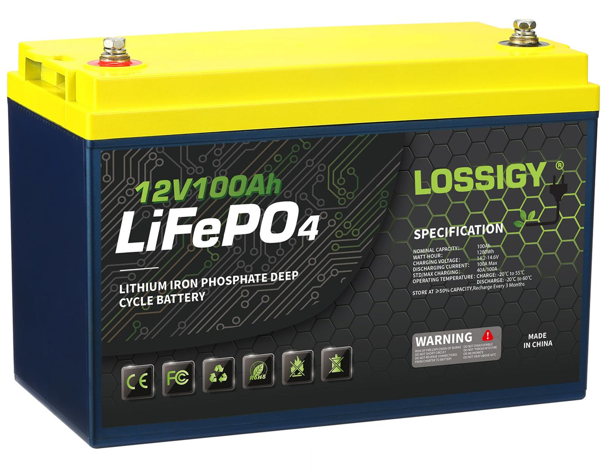 12 Volt 100Ah LiFePO4 Deep Cycle Battery L980