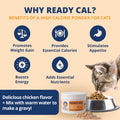 Chicken Flavor High-Calorie Cat Supplement Powder U543056