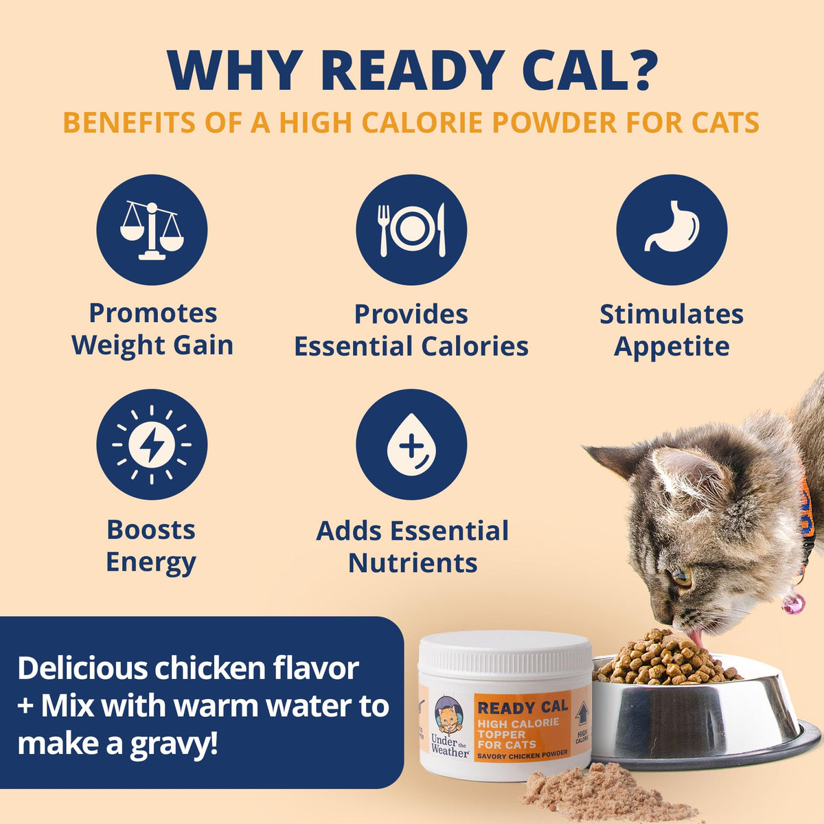 Chicken Flavor High-Calorie Cat Supplement Powder U543056
