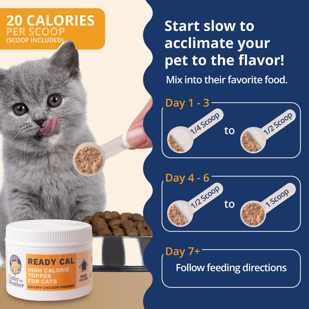 Chicken Flavor High-Calorie Cat Supplement Powder U543056