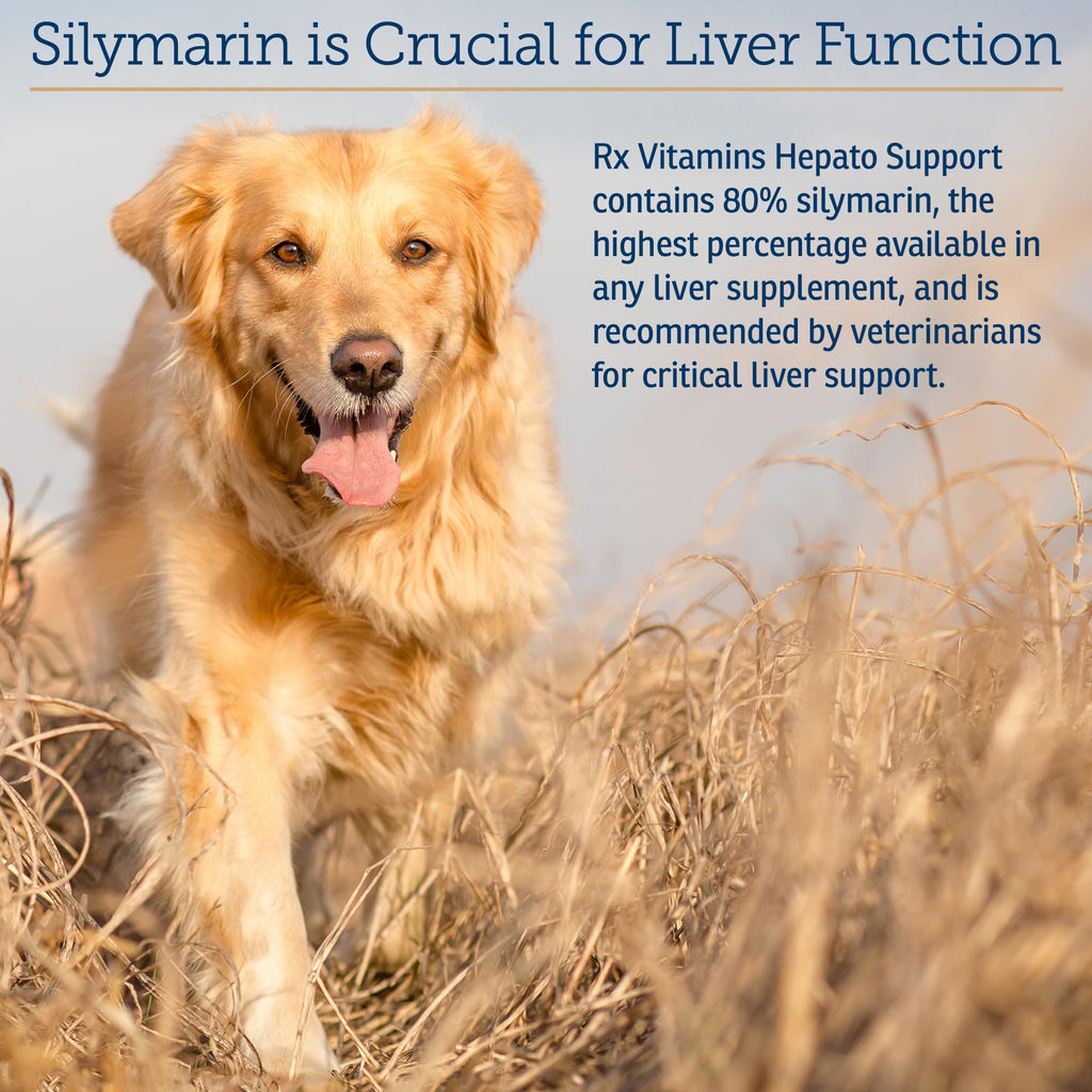 Liver Supplement 180ct D7054