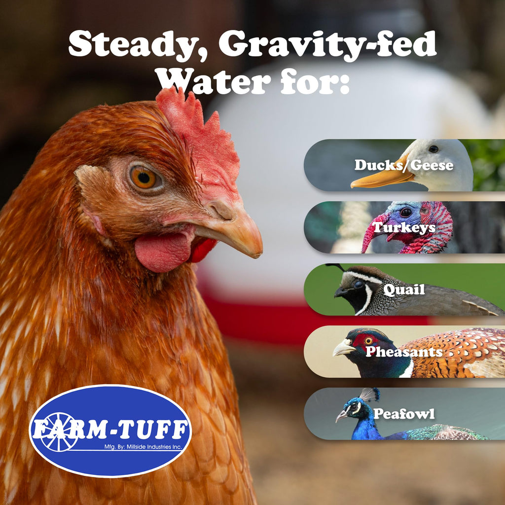 3 Gallon BPA-Free Plastic Hanging Chicken Waterer L145417
