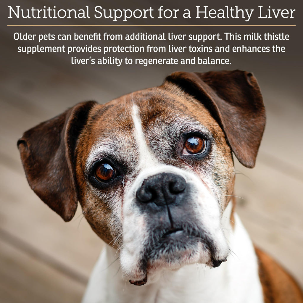 Liver Supplement 180ct D7054