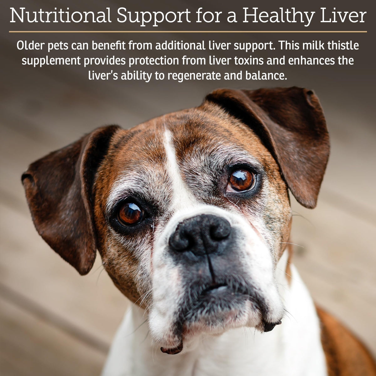 Liver Supplement 180ct D7054