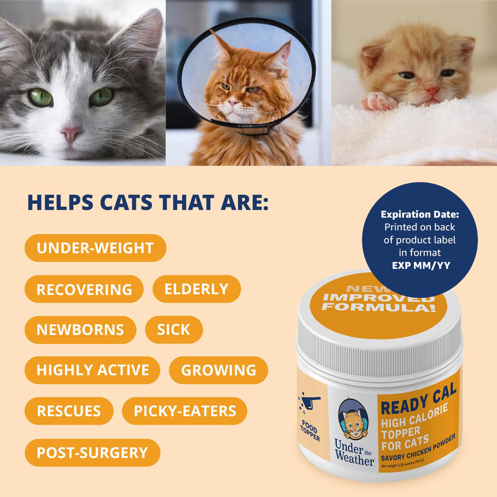 Chicken Flavor High-Calorie Cat Supplement Powder U543056