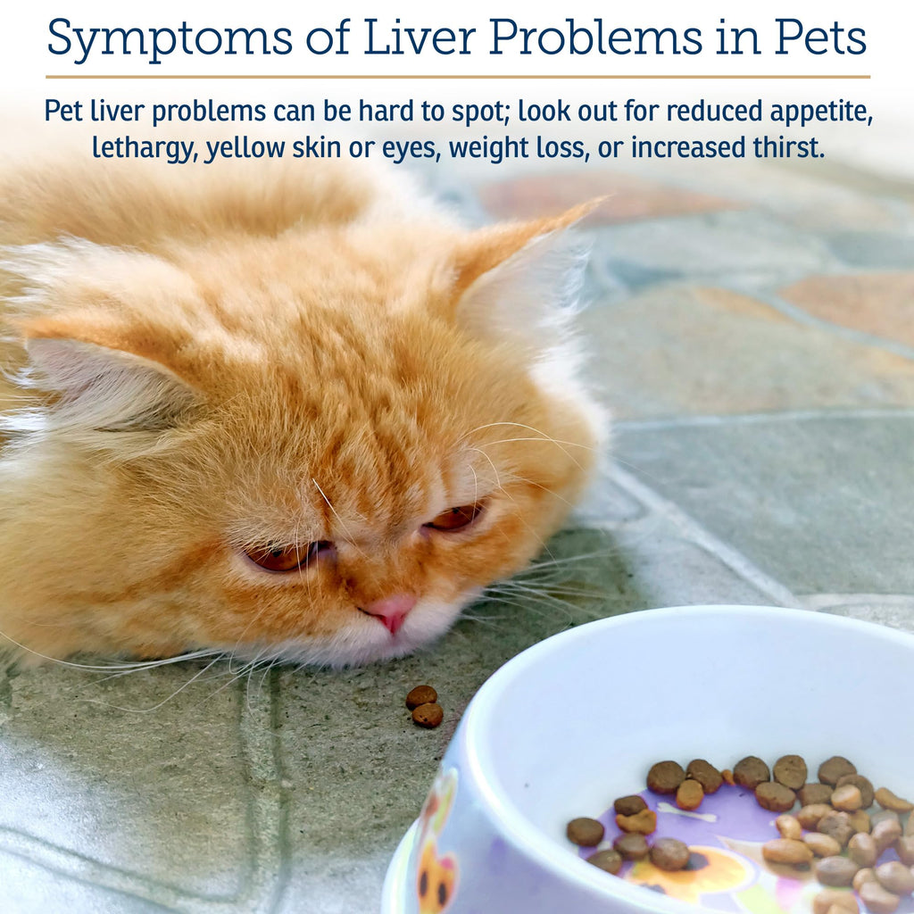 Liver Supplement 180ct D7054
