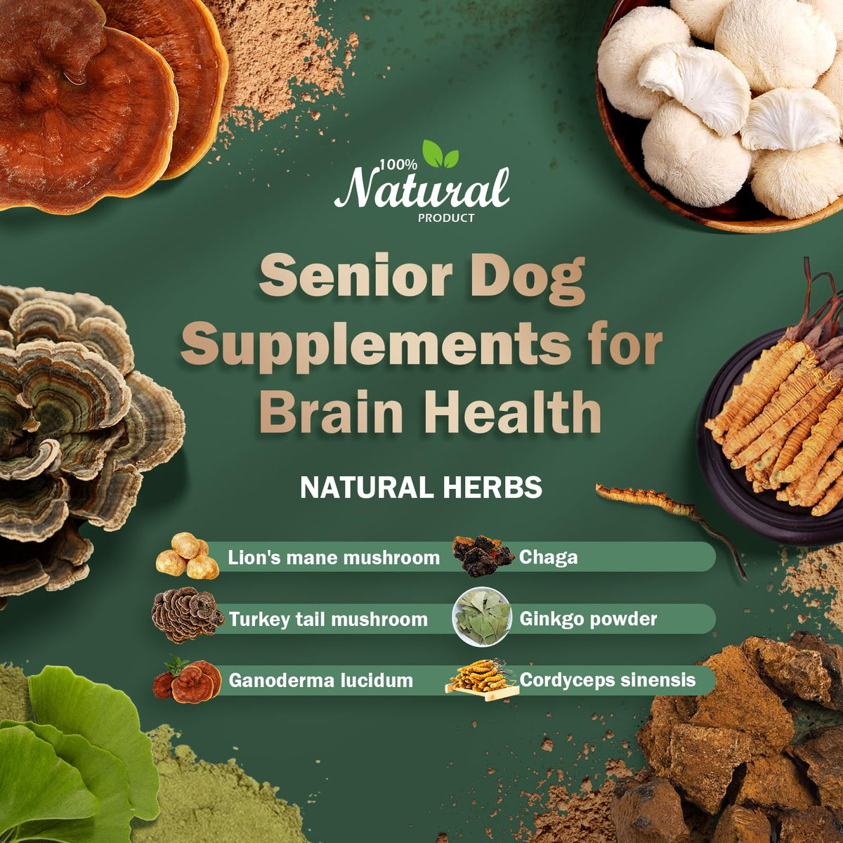 Dog Supplements L49407