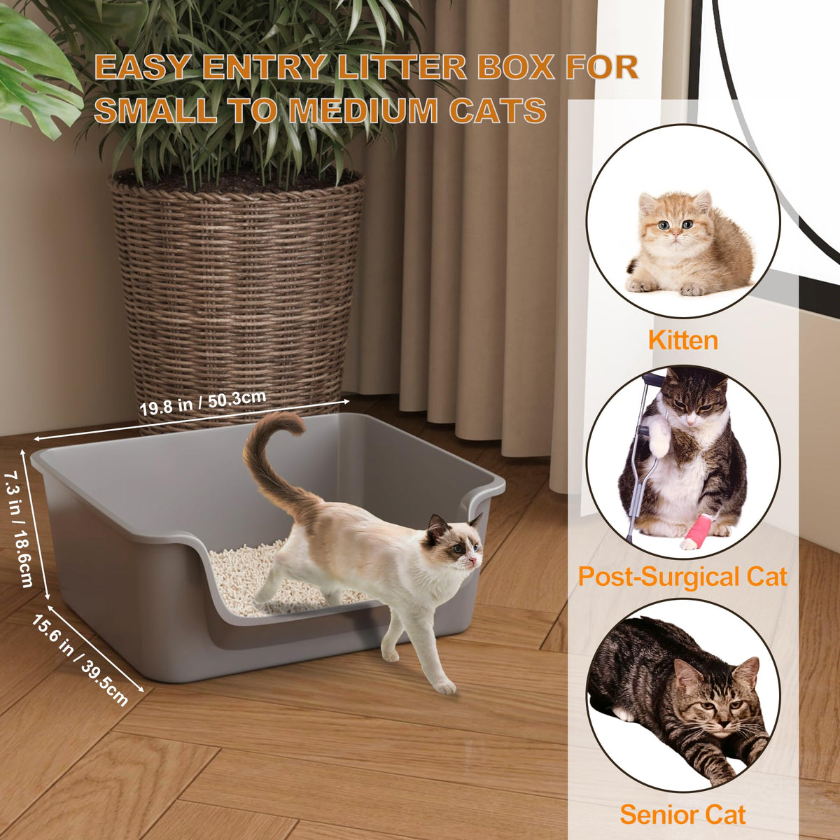 Open-Top High Sides Cat Litter Box with Low Entrance Y6162