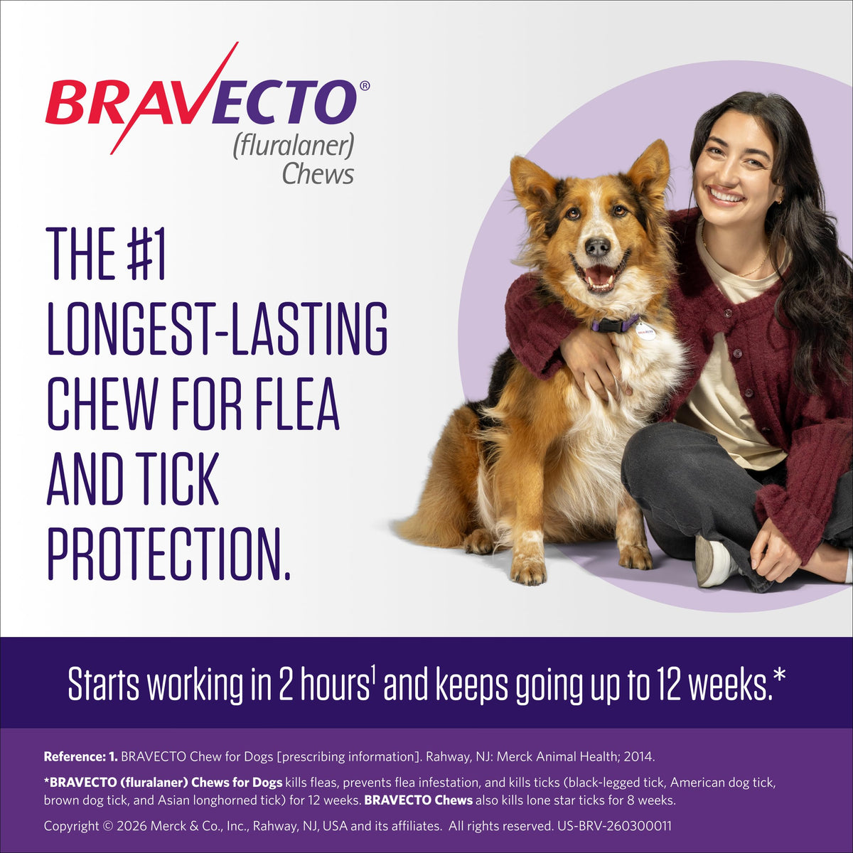 Flea & Tick Chew for Dogs 4.4-9.9 lbs I521